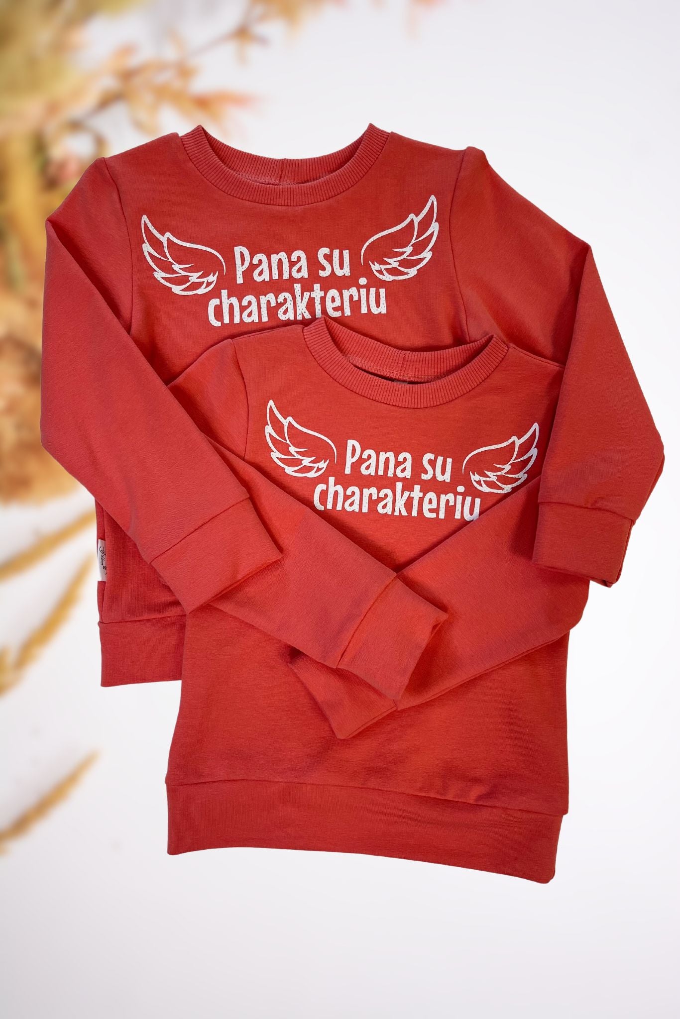 Vaikiškas džemperis “Pana su charakteriu”
