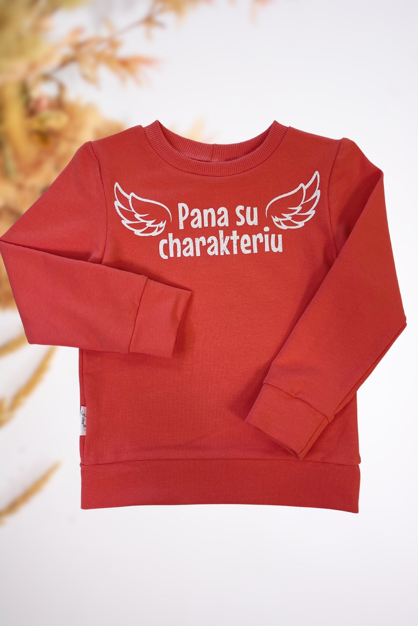 Vaikiškas džemperis “Pana su charakteriu”