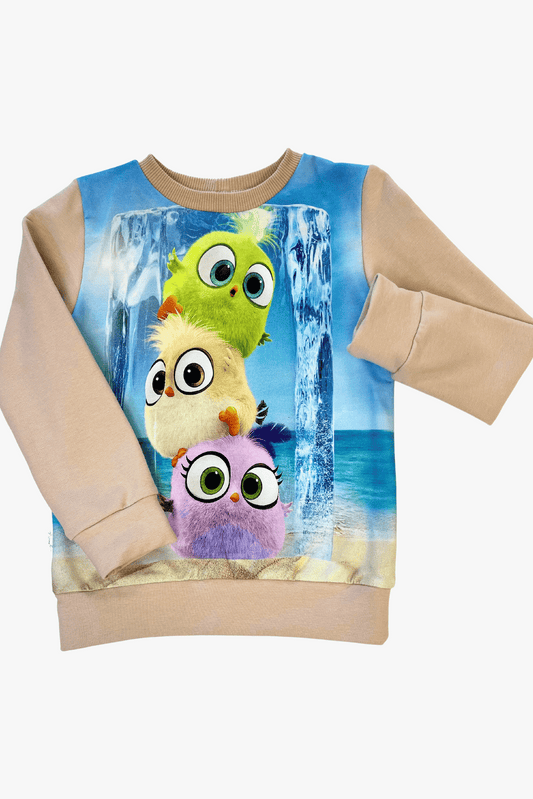 Vaikiškas džemperis “Linksmieji paukščiukai” | Riboto kiekis - Stiliaus detalė