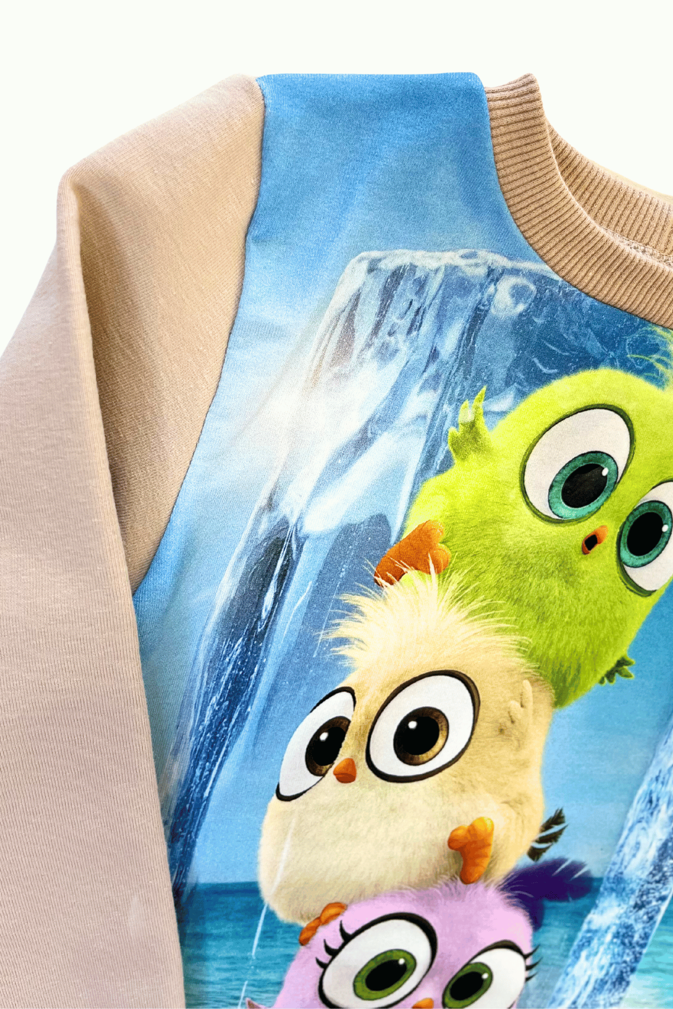 Vaikiškas džemperis “Linksmieji paukščiukai” | Riboto kiekis