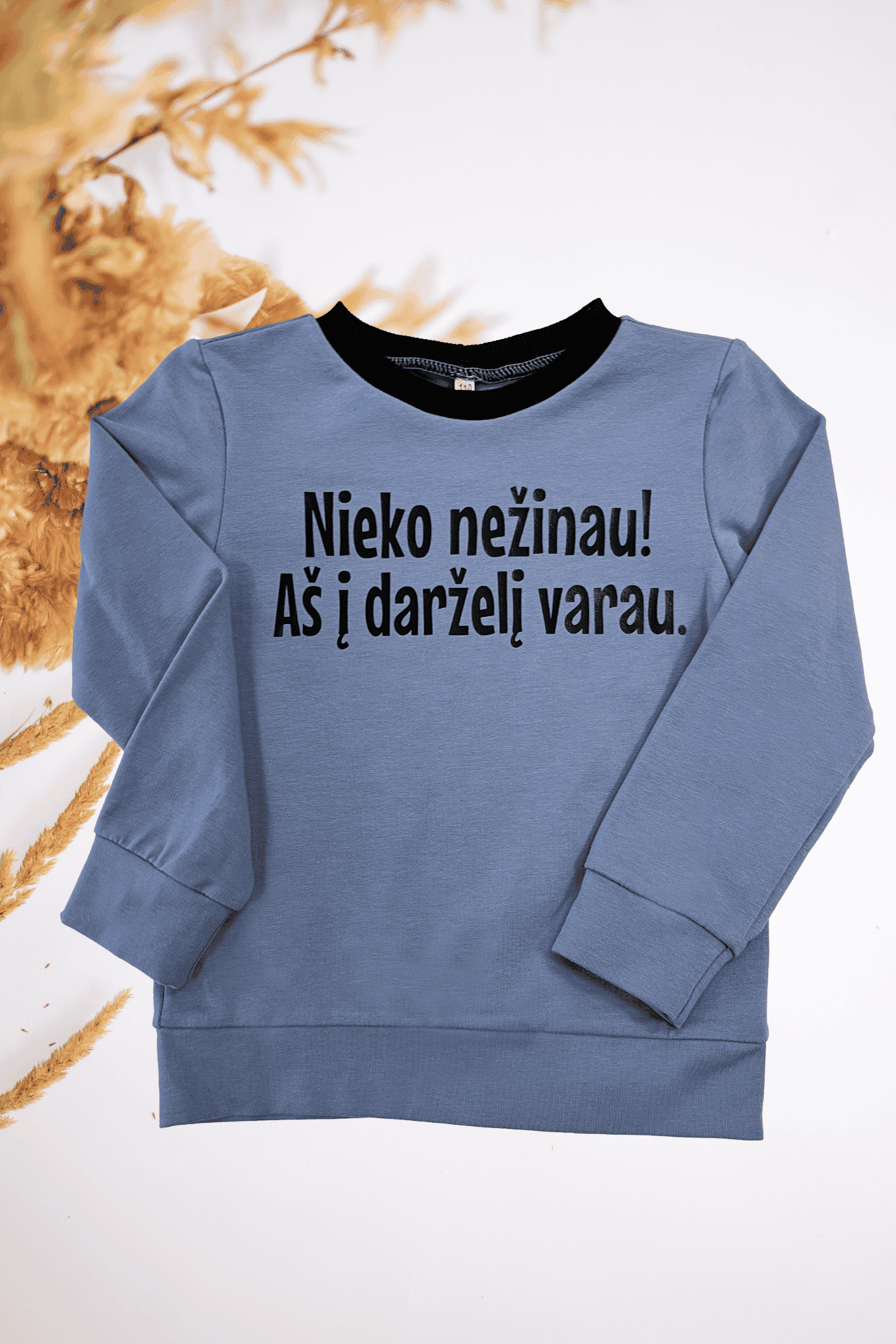 Vaikiškas džemperis “NIEKO NEŽINAU, AŠ Į DARŽELĮ VARAU." | Išskirtinės spalvos - Stiliaus detalė
